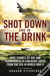 Capa do artigo Shot Down And In The Drink