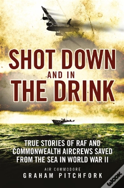 Capa do artigo Shot Down And In The Drink