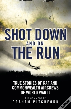 Capa do artigo Shot Down And On The Run