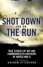 Shot Down And On The Run - Preview