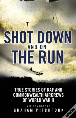 Capa do artigo Shot Down And On The Run