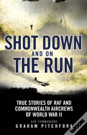 Capa do artigo Shot Down And On The Run