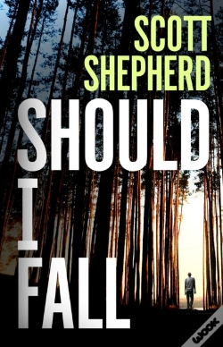 Capa do artigo Should I Fall
