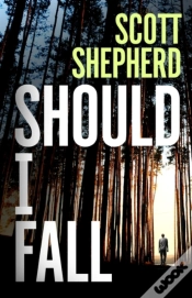 Capa do artigo Should I Fall