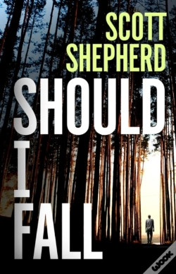Capa do artigo Should I Fall