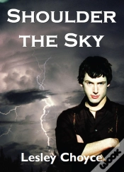 Capa do artigo Shoulder The Sky