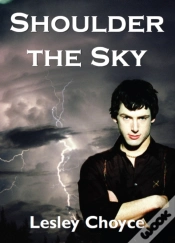 Capa do artigo Shoulder The Sky