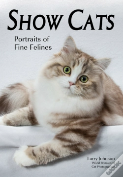 Capa do artigo Show Cats