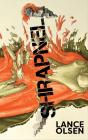 Shrapnel: Contemplations - Preview