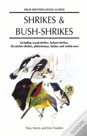 Capa do artigo Shrikes And Bush-Shrikes