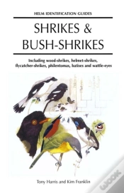 Capa do artigo Shrikes And Bush-Shrikes