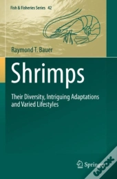 Shrimps