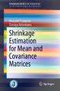 Shrinkage Estimation For Mean And Covariance Matrices - Preview