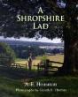 Shropshire Lad - Preview