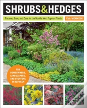 Capa do artigo Shrubs And Hedges