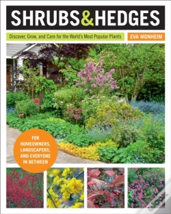 Capa do artigo Shrubs And Hedges