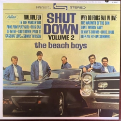 Capa do artigo Shut Down Volume 2 - Vinil