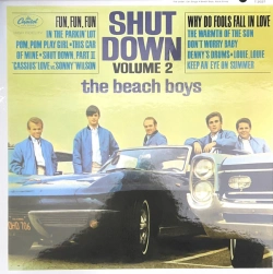 Capa do artigo Shut Down Volume 2 - Vinil