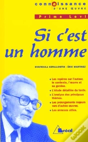 Capa do artigo Si C