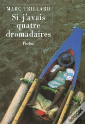 Capa do artigo Si J