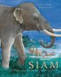 Siam ; La Grande Histoire De Siam, Éléphant D'Asie - Preview