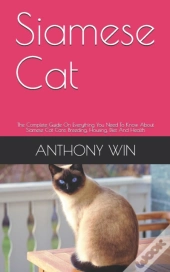 Siamese Cat