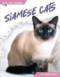 Siamese Cats - Preview