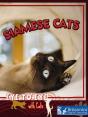 Siamese Cats - Preview