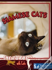Capa do artigo Siamese Cats