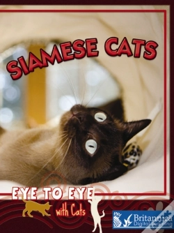 Capa do artigo Siamese Cats