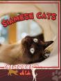 Siamese Cats - Preview