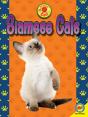 Siamese Cats - Preview