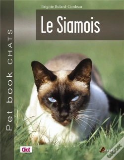 Capa do artigo Siamois