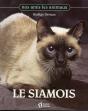 Siamois - Preview
