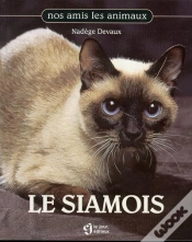 Capa do artigo Siamois