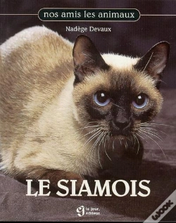 Capa do artigo Siamois