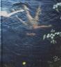 Sian Davey: Martha - Preview
