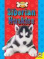 Siberian Huskies - Preview