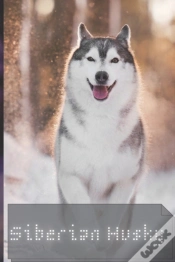 Capa do artigo Siberian Husky
