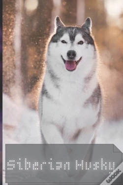 Capa do artigo Siberian Husky