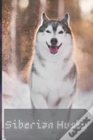 Siberian Husky