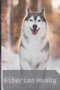 Siberian Husky - Preview
