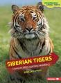 Siberian Tigers - Preview