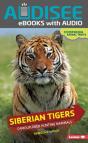 Siberian Tigers - Preview