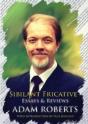 Sibilant Fricative - Preview