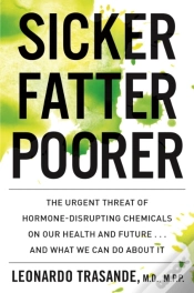 Capa do artigo Sicker, Fatter, Poorer