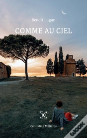 Capa do artigo Sicut