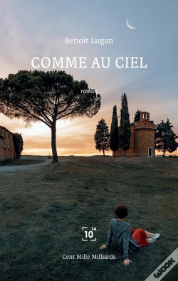 Capa do artigo Sicut