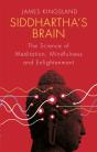 Siddhartha'S Brain - Preview
