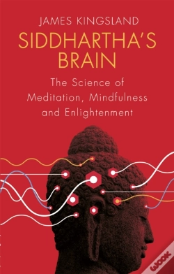 Capa do artigo Siddhartha'S Brain